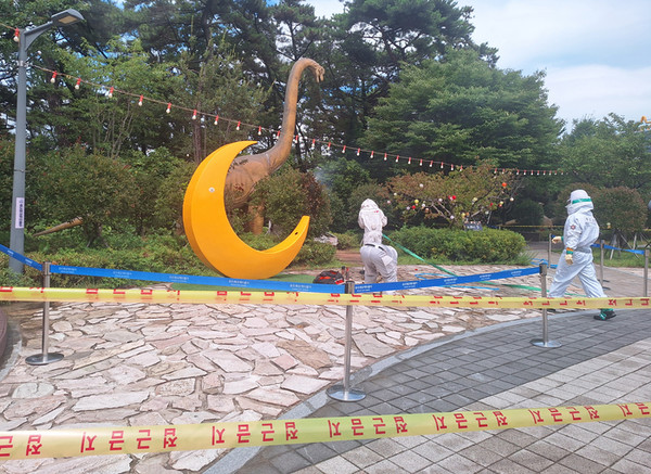 케이블카 타러 갔다 말벌 떼 ‘날벼락…부산 송도서 관광객 15명 쏘여.jpg